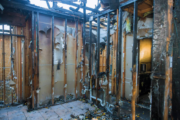 Professional Fire Damage Removal technician working in Shawneeland, VA